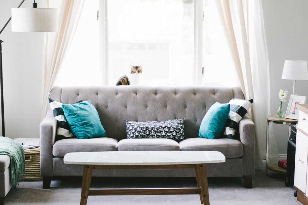 Living room with grey 3-seater sofa and turquoise cushions