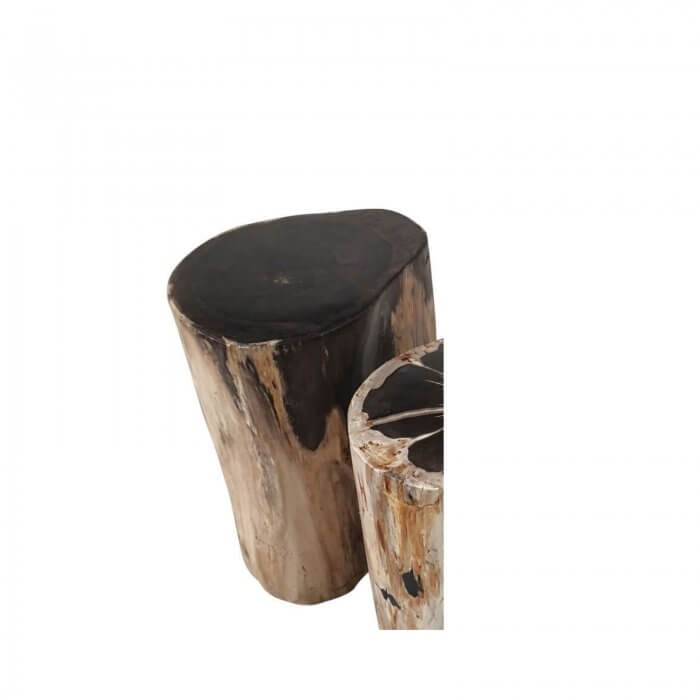 Petrified wood side table mid brown